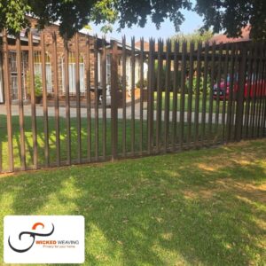 488599199_636491162718879_5509553171021384306_n