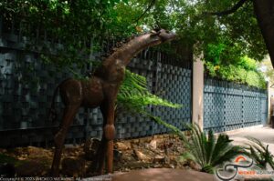 WhatsApp Image 2025-04-13 at 20.25.46_e48c4537