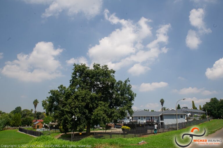 WhatsApp Image 2025-04-23 at 16.41.51_a4526ae1