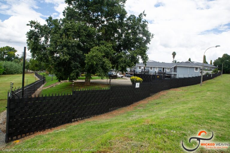 WhatsApp Image 2025-04-23 at 16.41.52_6f82d2a3