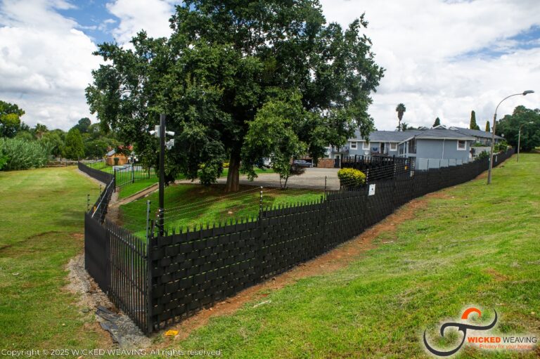 WhatsApp Image 2025-04-23 at 16.41.53_6c9af186