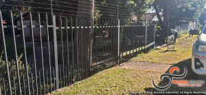 WhatsApp Image 2025-06-06 at 10.21.41_9e9c70d4