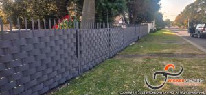 WhatsApp Image 2025-06-06 at 10.21.41_b4fe9381