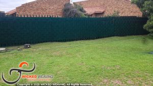 IMG-20251104-WA0061