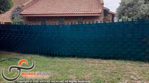 IMG-20251104-WA0065