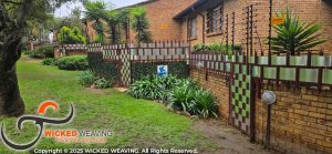 IMG-20251119-WA0141