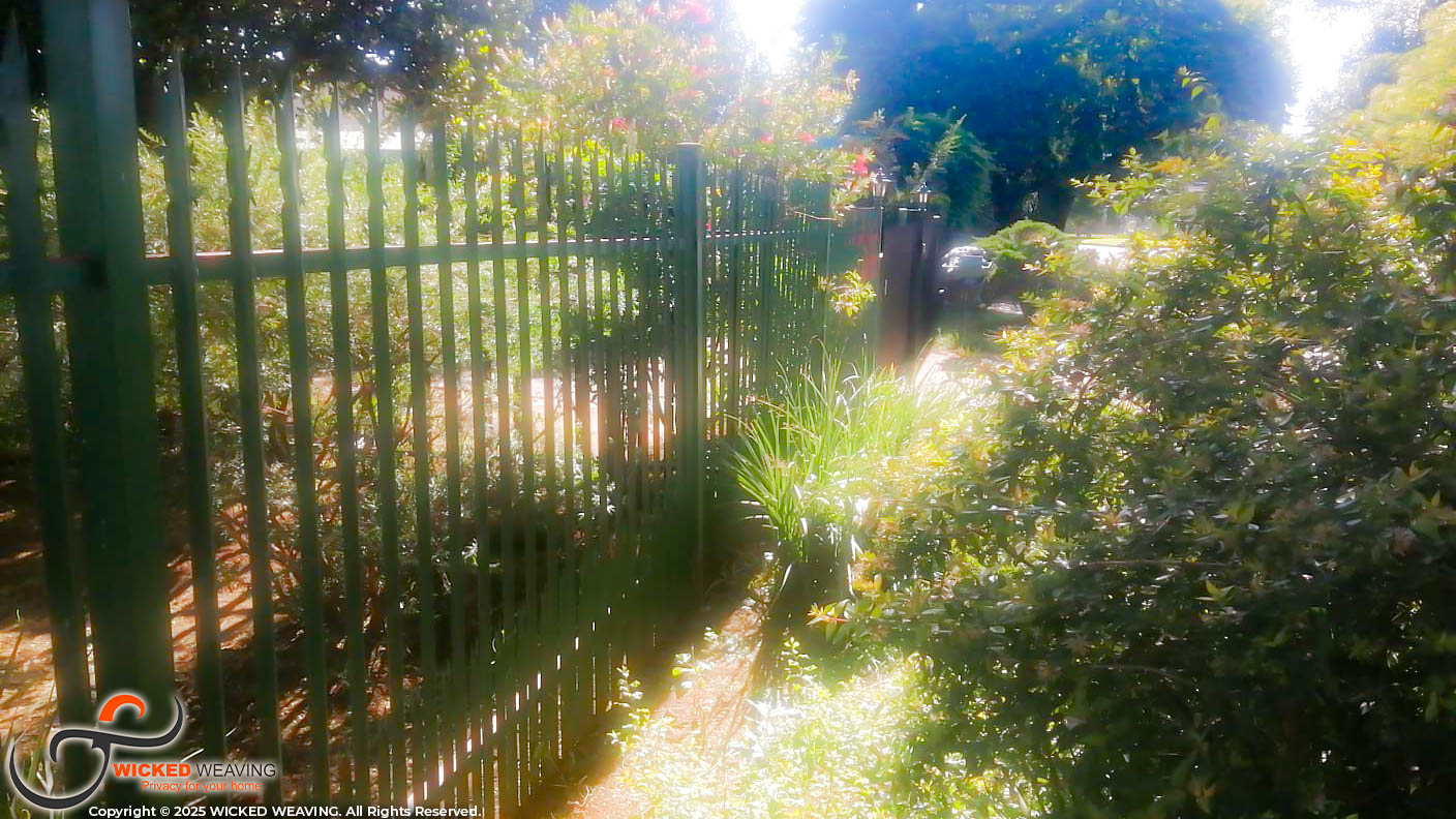 WhatsApp Image 2026-01-07 at 8.46.51 AM6