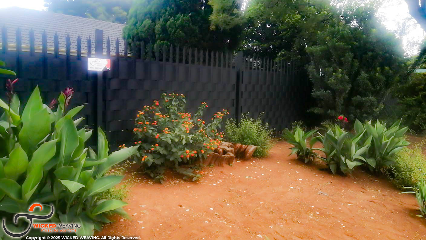 WhatsApp Image 2026-01-07 at 8.47.07 AM3