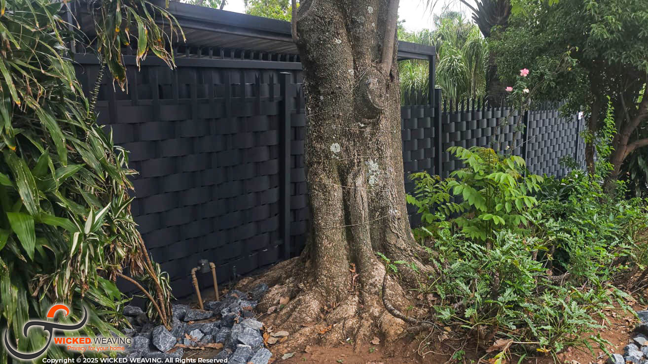 WhatsApp Image 2026-01-28 at 7.26.01 AM2