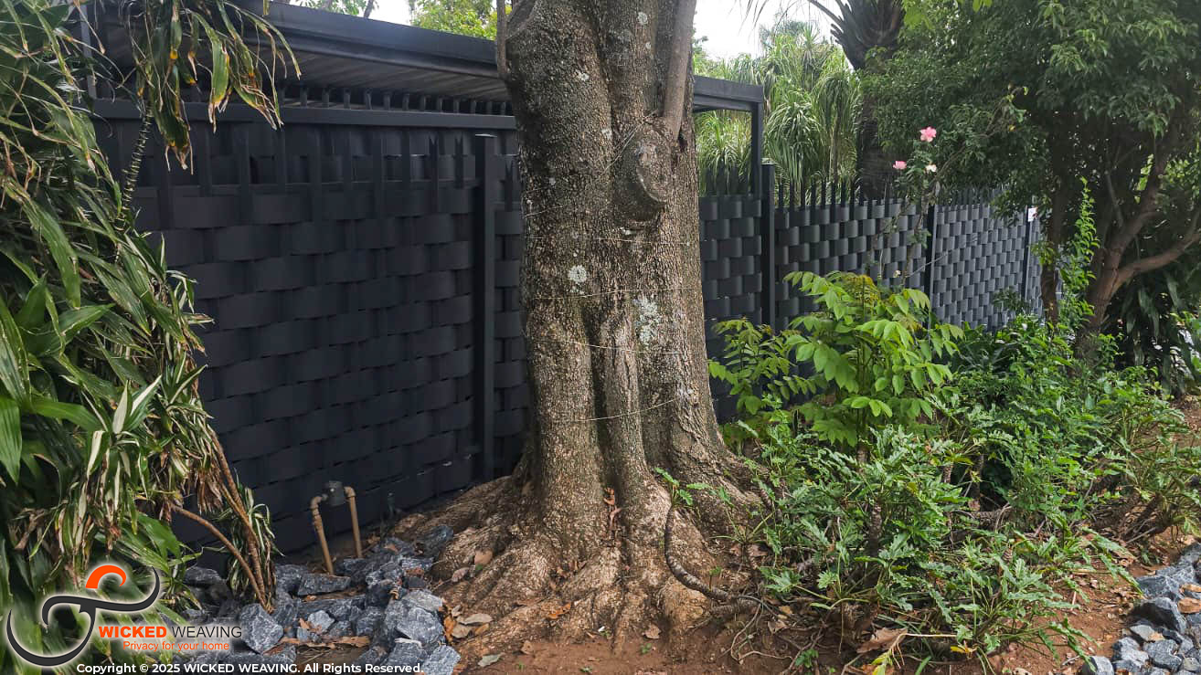 WhatsApp Image 2026-01-30 at 6.01.56 PM (3)