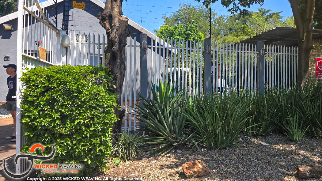 WhatsApp Image 2026-02-13 at 9.27.39 AM