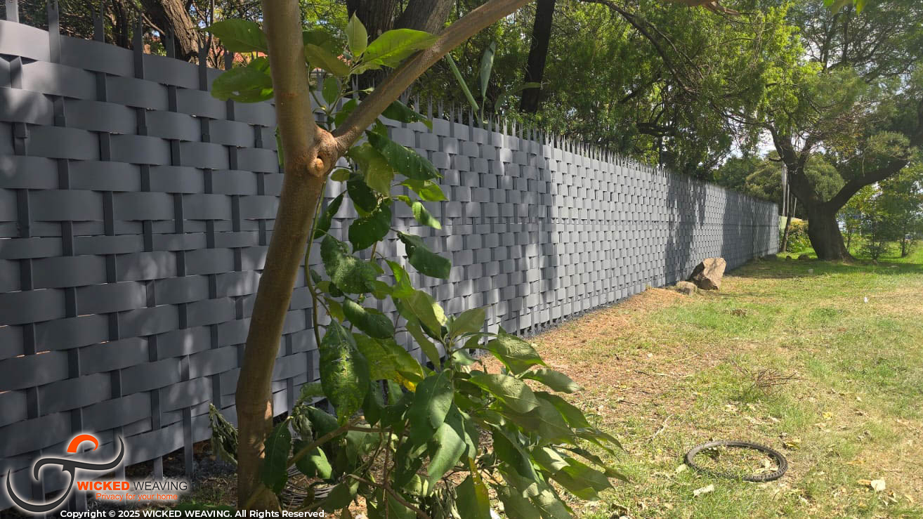 WhatsApp Image 2026-03-04 at 6.35.22 AM (1)