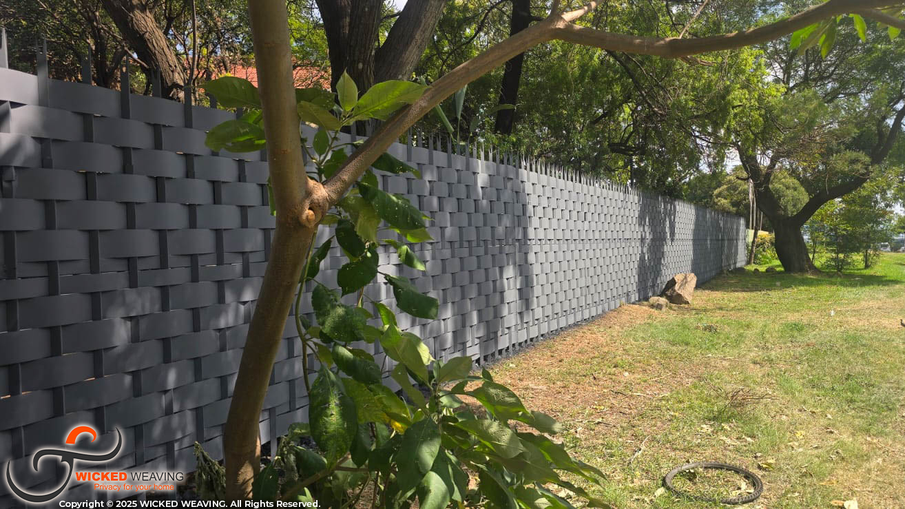 WhatsApp Image 2026-03-04 at 6.35.22 AM (2)