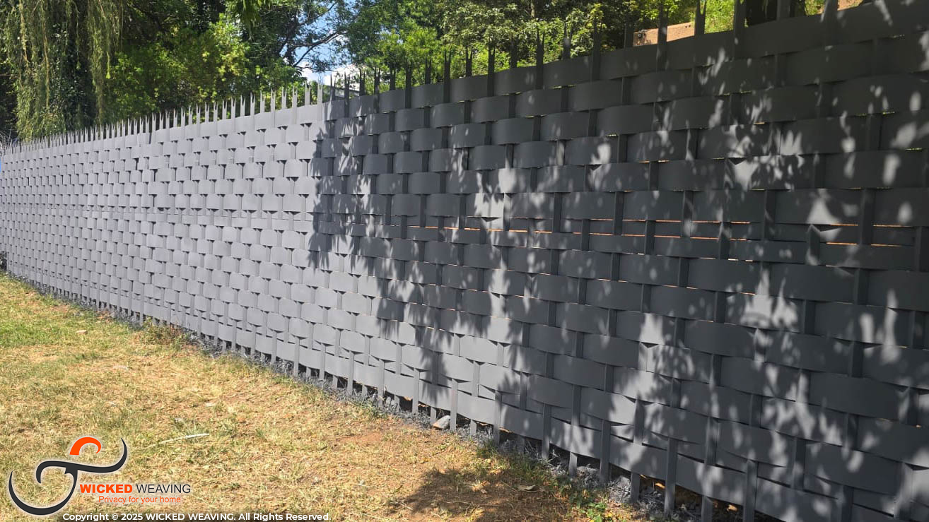 WhatsApp Image 2026-03-04 at 6.35.22 AM (3)