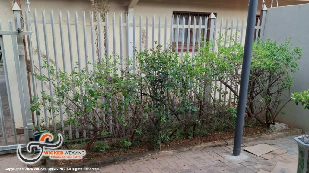 25m Slate Grey Palisade Weaving in Faerie Glen, Pretoria