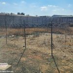 22m Claytile Palisade Weaving