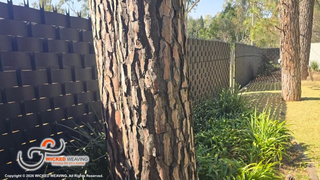 30m Palisade Extensions