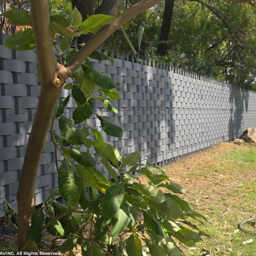 WhatsApp Image 2026-03-04 at 6.35.22 AM (1)