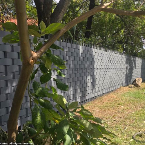 WhatsApp Image 2026-03-04 at 6.35.22 AM (2)