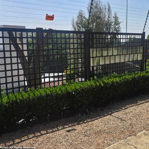 WhatsApp Image 2026-03-12 at 10.56.31 AM (1)