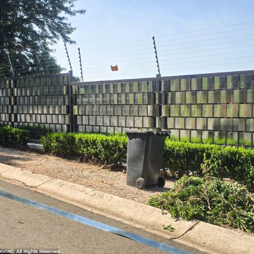 WhatsApp Image 2026-03-12 at 10.56.31 AM (3)