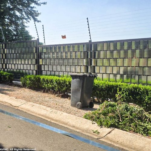 WhatsApp Image 2026-03-12 at 10.56.32 AM