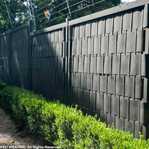 WhatsApp Image 2026-03-12 at 10.56.33 AM (1)