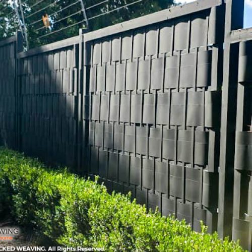 WhatsApp Image 2026-03-12 at 10.56.33 AM (2)